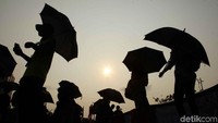 Seperti pekan-pekan sebelumnya, mereka membawa payung berwarna hitam.