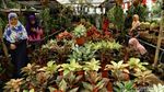 Berkunjung ke Pameran Flona 2018 di Lapangan Banteng