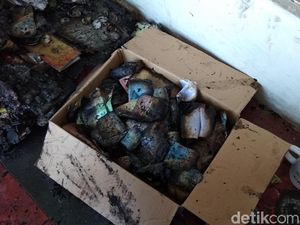 Uang Tunai Puluhan Juta di Ambarawa Ludes Terbakar