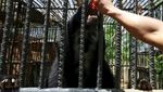 Sedih, Hewan Kebun Binatang Venezuela Kurus Gegara Krisis
