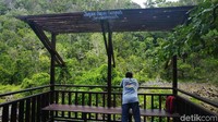 Keasrian hutan di Piaynemo sangat dijaga sehingga sepanjang jalan pun banyak himbauan agar turis untuk tidak merusaknya. (Firdaus Anwar/detikTravel)