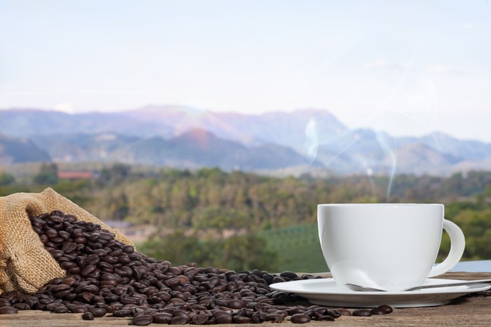 Hot Coffee cup and coffee beans with sunrise on the wooden table and the plantations with mountain on natural background