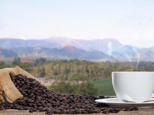5 Fakta Biji Kopi Asal Bali yang Populer dan Laris Diekspor