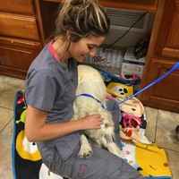 Selain jadi model, Shauna ternyata punya pekerjaan lagi. Dia adalah teknisi veteriner, yakni seorang dokter hewan.  Foto: Instagram (@shaunasexton_)