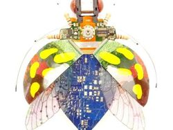 Keren! Ketika Limbah Komputer Disulap Jadi Serangga Cantik