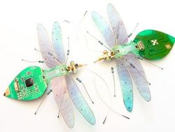 Keren! Ketika Limbah Komputer Disulap Jadi Serangga Cantik