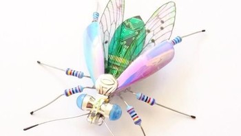 Kereasinya mulai dari kupu-kupu, capung, kecoa dan lainnya. Foto: etsy.com