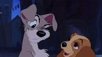 Lady and The Tramp. Foto: Brightside