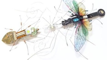 Serangga yang tengah bertarung. Foto: etsy.com