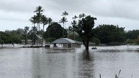 Angin kencang dan hujan deras akibat badai Lane menerjang Hawaii, Amerika Serikat sejak Kamis (23/8/2018) kemarin. Akibat badai itu, sejumlah wilayah di Hawaii diterjang banjir bandang, tanah longsor dan ombak besar. Ace Norton/via Reuters.