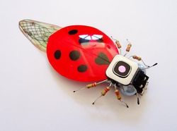 Keren! Ketika Limbah Komputer Disulap Jadi Serangga Cantik