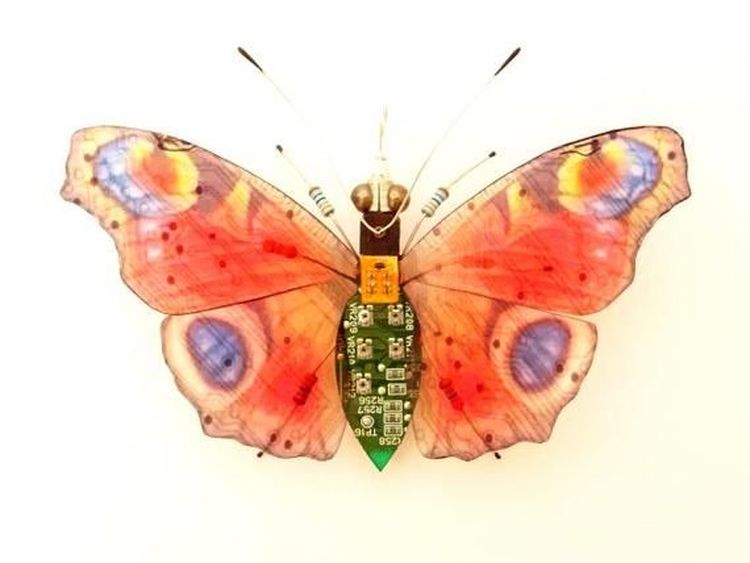 Keren! Ketika Limbah Komputer Disulap Jadi Serangga Cantik