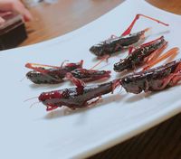 Siapa Mau Coba 5 Makanan Unik dari Jepang Ini?