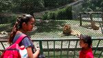 Sedih, Hewan Kebun Binatang Venezuela Kurus Gegara Krisis