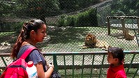 Bahkan sudah ada 3 hewan di kebun binatang Paraguana yang mati karena kelaparan.Dok.Reuters.