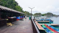 Sepanjang perjalanan traveler bisa melihat hutan bakau dan pulau-pulau lainnya yang ada di Raja Ampat. Kalau beruntung dan cuaca sedang bagus terkadang lumba-lumba juga bisa terlihat. (Firdaus Anwar/detikTravel)