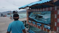 Dengan perjalanan sekitar dua jam menggunakan speedboat dari Pelabuhan Kota Waisai, dari kejauhan Kampung Arborek terlihat memiliki pantai berpasir putih yang indah. Ujung-ujung batas pulaunya bisa dilihat cukup jelas hanya dengan mata. (Firdaus Anwar/detikTravel)