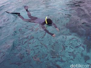 Ini Dia Kampung Terpencil Favorit Penyelam di Raja Ampat