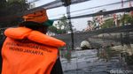 Penampakan Sampah di Atas Waring Kali Item