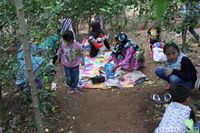 Piknik Bersama Keluarga di Kebun Jeruk Jersey Bandung