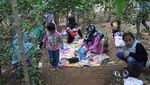 Foto: Kebun Jeruk di Bandung yang Asyik Untuk Piknik