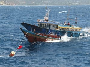 4 Tahun Susi Sikat Kapal Maling Ikan, Apa Hasilnya?