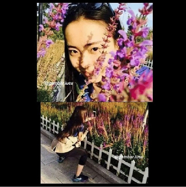 Terlihat indah dari depan, pemandang foto terlihat lucu dari belakang. Foto: Gambar Lucu/Me.me 