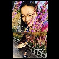 Terlihat indah dari depan, pemandang foto terlihat lucu dari belakang. Foto: Gambar Lucu/Me.me 