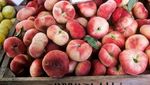 10 Buah Rendah Gula yang Aman untuk Diet dan Diabetes