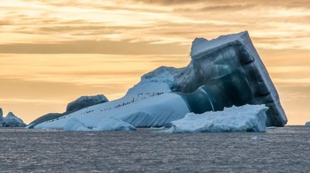 Karya Chris Watson. Foto: The Guardian