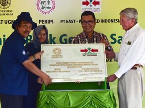 Bank Genetik Sayuran Pertama Indonesia