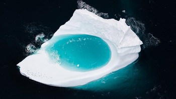 Karya Sam Edmonds. Foto:  The Guardian