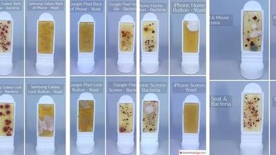 Foto Ini Buktikan Layar Smartphone Lebih Jorok Dibanding Toilet