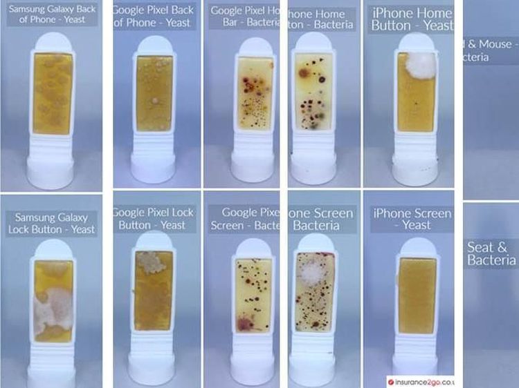 Foto Ini Buktikan Layar Smartphone Lebih Jorok Dibanding Toilet