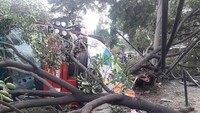 Sesampainya di TKP tepatnya di dekat gang Jl H Arsyad diduga menghindari motor dengan nopol tidak diketahui yang mendahului dari samping kanan, Kasubdit Gakkum Ditlantas Polda Metro Jaya AKBP Budiyanto. Foto: @TMCPoldaMetro