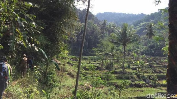 Perjalanan menembus hutan