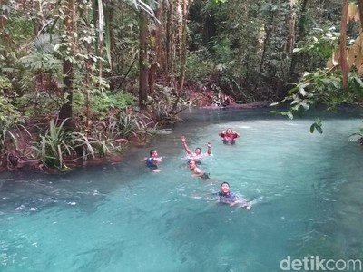 Foto: Berenang di Sungai Sebiru Kristal di Raja Ampat Foto: Berenang di Sungai Sebiru Kristal di Raja Ampat