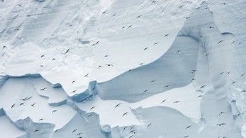 Karya Justin Gilligan Foto: The Guardian