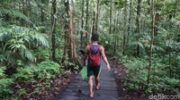 Traveler bisa mencapai lokasi ini dengan sekitar satu jam perjalanan speedboat dari Kota Waisai atau 15 menit dari Kampung Warsambin. (Firdaus Anwar/detikTravel)