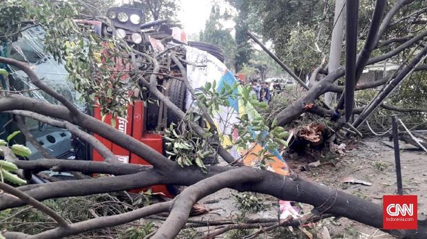 Transjakarta Tabrak Pohon dan Terguling, Tak Ada Korban