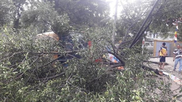 TransJ Terguling Tabrak Pohon di Jaksel karena Hindari Pemotor