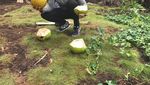 Ini Gaya Makan Santai Erico Mihardja, Teman Dekat Marshanda