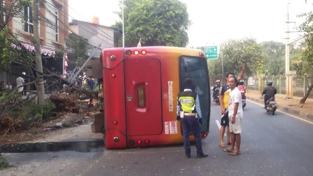 TransJ Terguling Tabrak Pohon di Jaksel karena Hindari Pemotor
