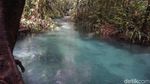 Foto: Berenang di Sungai Sebiru Kristal di Raja Ampat
