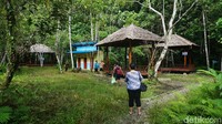 Hebatnya, di tengah hutan ternyata sudah tersedia gazebo dan toilet yang bersih. Fasilitas tersebut sudah disediakan agar turis bisa berbilas dan beristirahat usai berenang. (Firdaus Anwar/detikTravel)