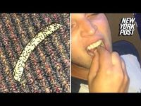 Demi Taruhan, Pria Ini Rela Makan Kentang Goreng dengan Semut Hidup
