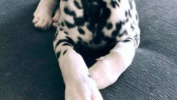 Hidungnya bentuk love. (Foto: Brightside)
