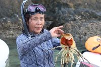 Menteri Kelautan dan Perikanan Susi Pudjiastuti