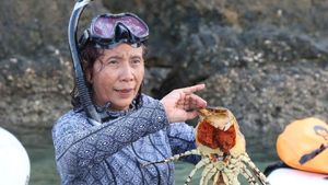 Sembari Paddling, Susi Lepaskan Induk Lobster ke Laut Natuna