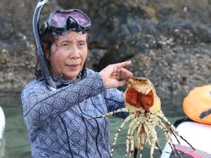 Susi Pudjiastuti: Saya Tidak Rela Bibit Lobster Diekspor!